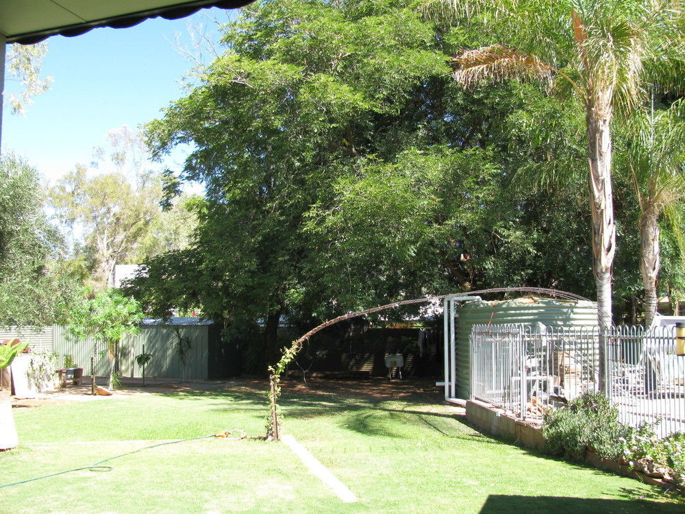 Kathys Place Bed And Breakfast Alice Springs Esterno foto